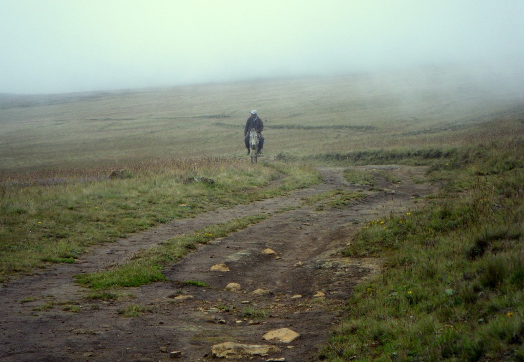 Riding the Spine